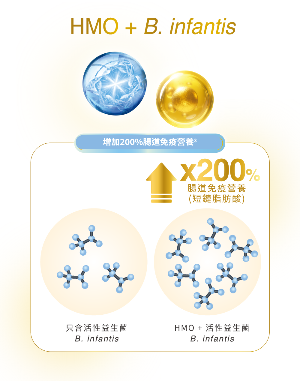 HMO + 活性益生菌<em>B. infantis</em> 增加200%的腸道免疫營養