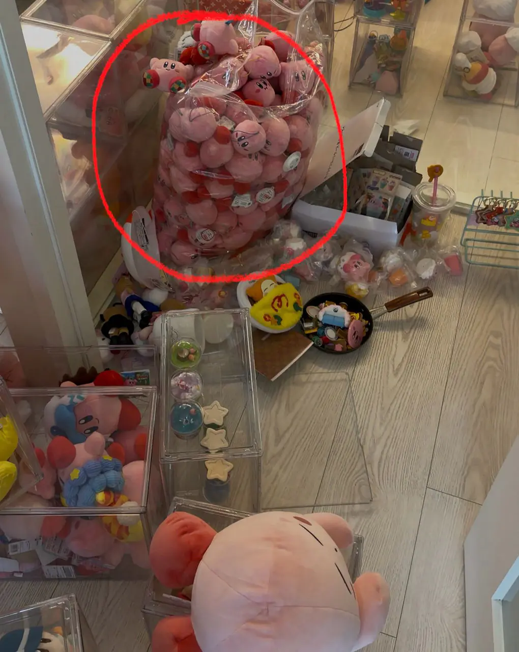 朋友的孩子在離開後竟被發現帶走了兩隻公仔