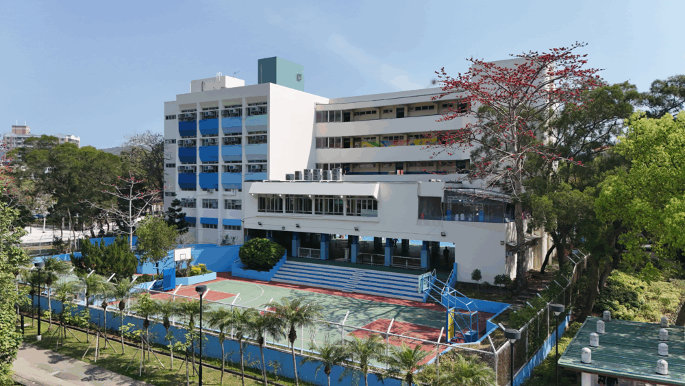 沙頭角中心小學小一至小三採用進展性評估模式，取代傳統紙本總結性評估，有效檢視學習進度並減輕考試壓力。每學段提供學習進程冊展示學生成果