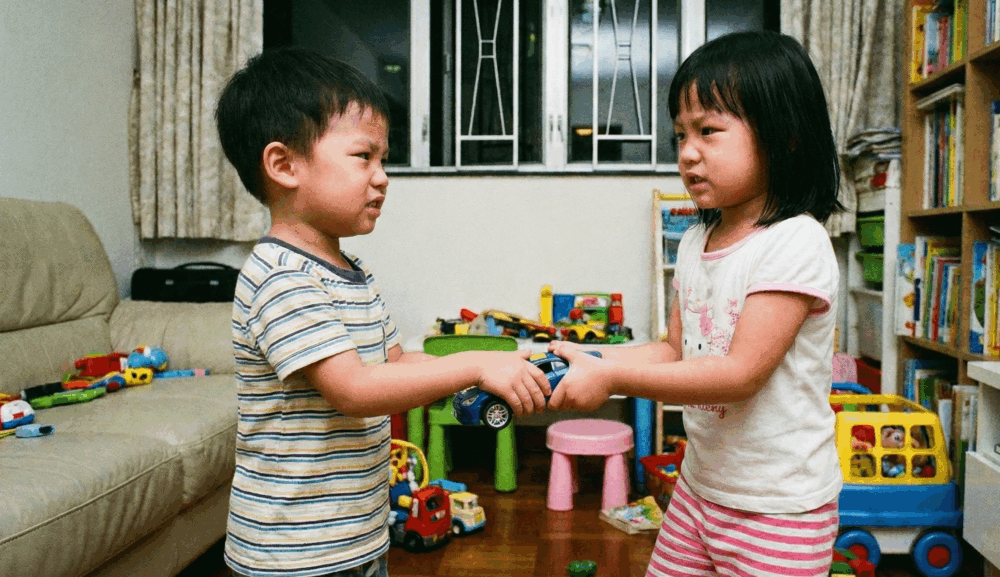 兄弟姐妹間發生衝突是十分常見的。