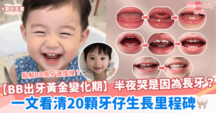BB出牙黃金變化期！半夜哭是因為長牙？一文看清20顆牙仔生長里程碑～