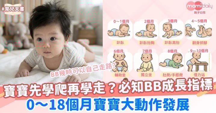 新手爸媽必讀!寶寶先學爬再學走?0-18個月寶寶大動作發展里程碑全解析