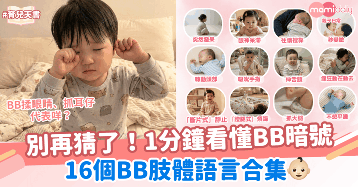 1分鐘看懂BB暗號！別再猜了！16個BB肢體語言合集～