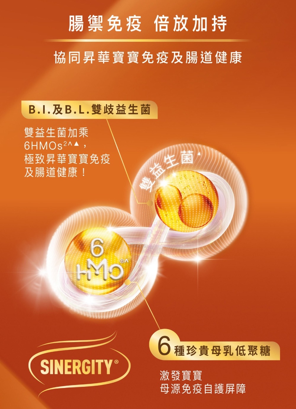 蘊含6大母乳低聚糖（2'FL, 3FL, LNT, 6'SL, 3'SL, DFL），多方位提升寶寶免疫力 。