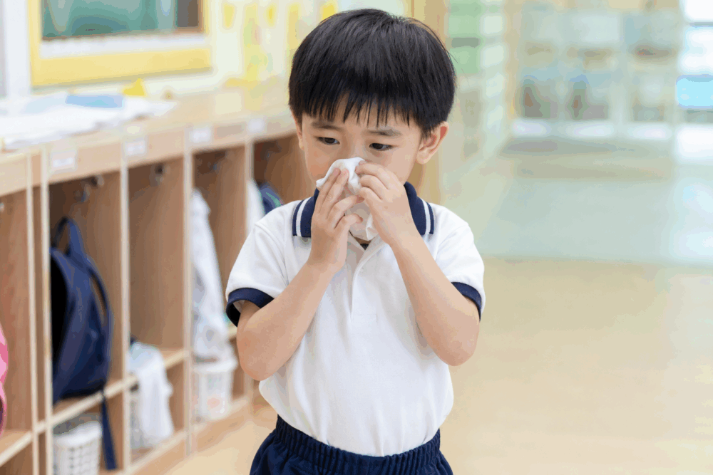 若只着眼於「避免接觸病菌」，而忽略身體本身的健康基礎，未必足以應付幼稚園及學校密集的群體生活。